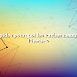 Réponse rapide : pourquoi les vaches mangent-elles de l’herbe ?